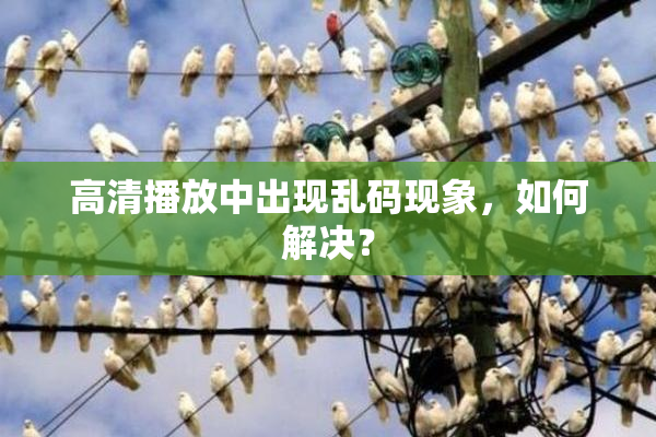 高清播放中出现乱码现象，如何解决？