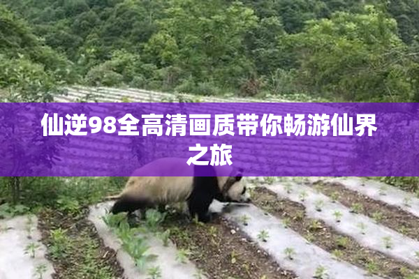 仙逆98全高清画质带你畅游仙界之旅