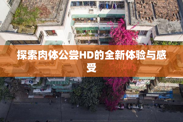 探索肉体公尝HD的全新体验与感受