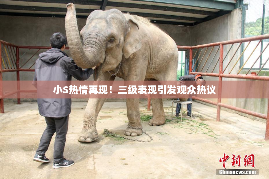 小S热情再现！三级表现引发观众热议