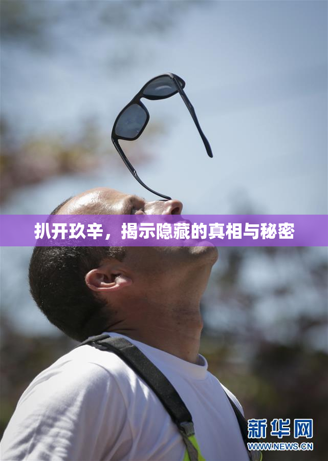扒开玖辛，揭示隐藏的真相与秘密