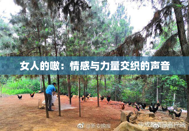 女人的嗷：情感与力量交织的声音