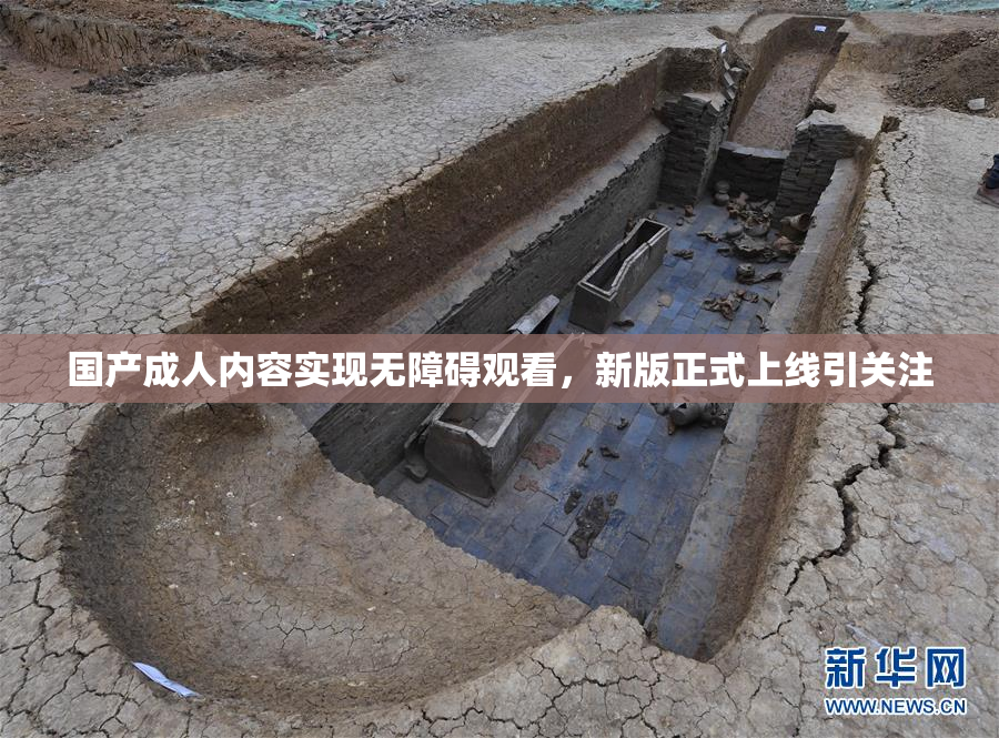 国产成人内容实现无障碍观看，新版正式上线引关注