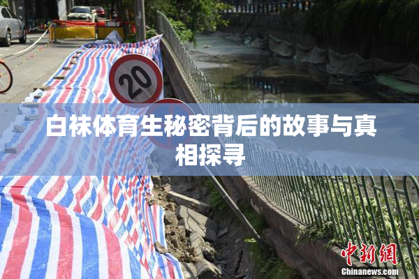 白袜体育生秘密背后的故事与真相探寻