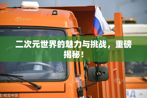 二次元世界的魅力与挑战，重磅揭秘！