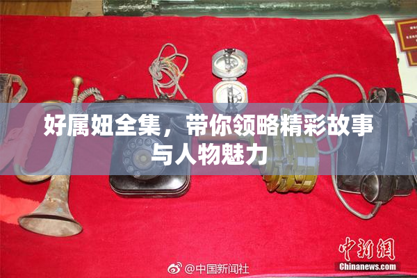 好属妞全集，带你领略精彩故事与人物魅力