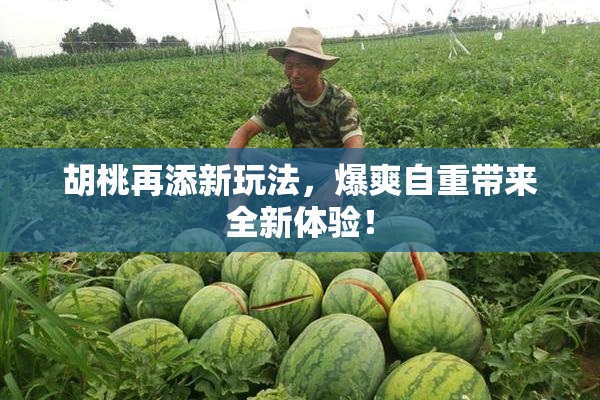 胡桃再添新玩法，爆爽自重带来全新体验！