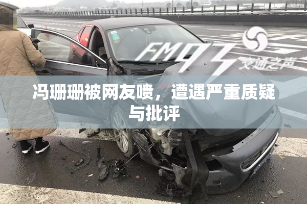 冯珊珊被网友喷，遭遇严重质疑与批评