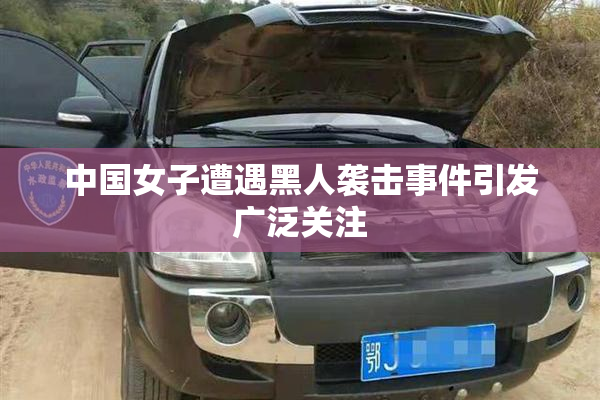 中国女子遭遇黑人袭击事件引发广泛关注