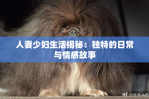 人妻少妇生活揭秘：独特的日常与情感故事