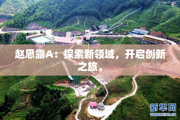 赵思露A：探索新领域，开启创新之旅。