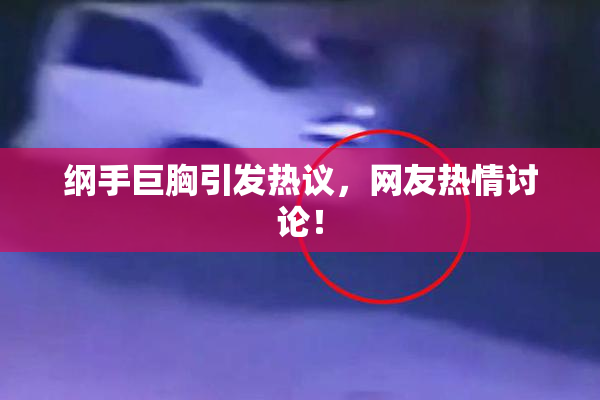 纲手巨胸引发热议，网友热情讨论！