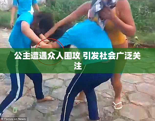 公主遭遇众人围攻 引发社会广泛关注
