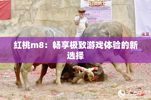 红桃m8：畅享极致游戏体验的新选择