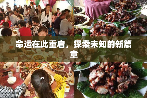 命运在此重启，探索未知的新篇章