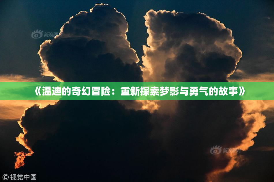 《温迪的奇幻冒险：重新探索梦影与勇气的故事》