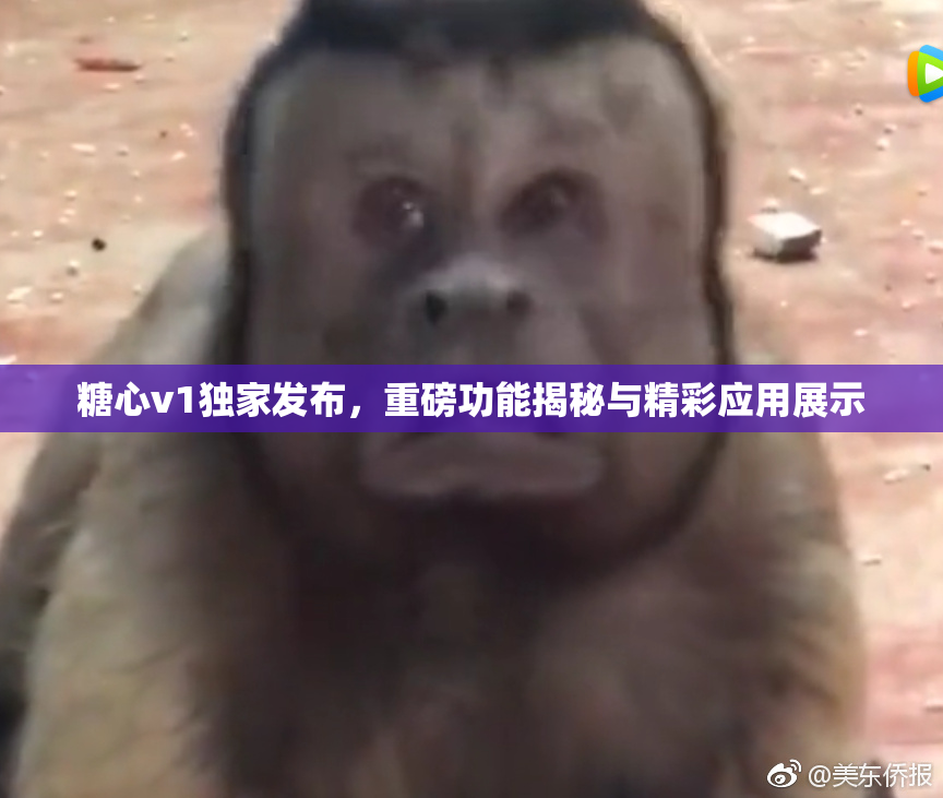 糖心v1独家发布，重磅功能揭秘与精彩应用展示