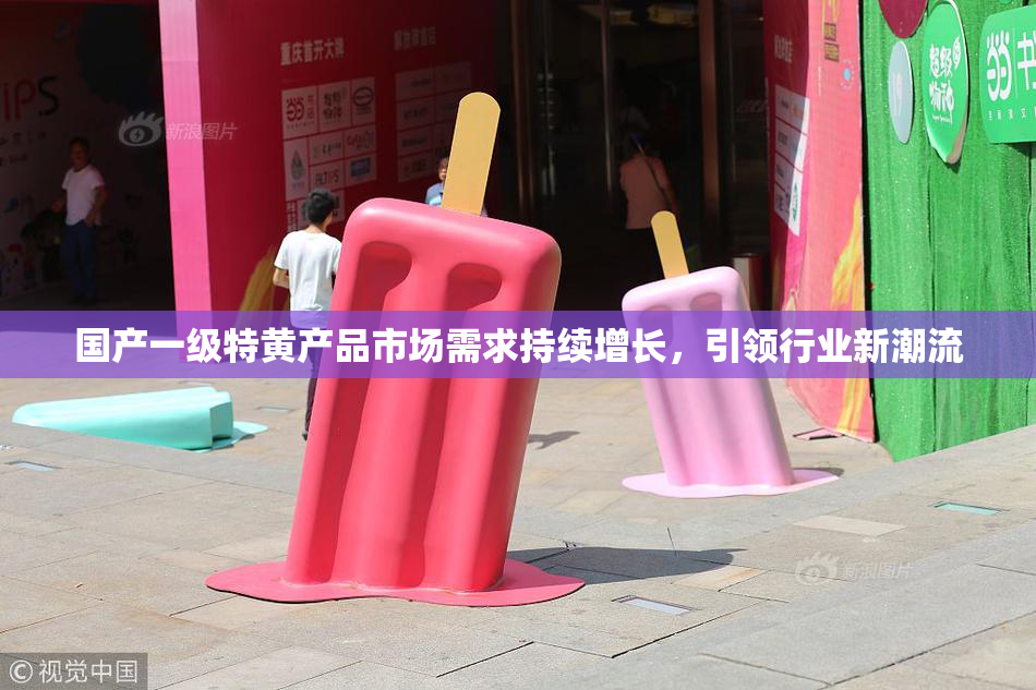 国产一级特黄产品市场需求持续增长，引领行业新潮流