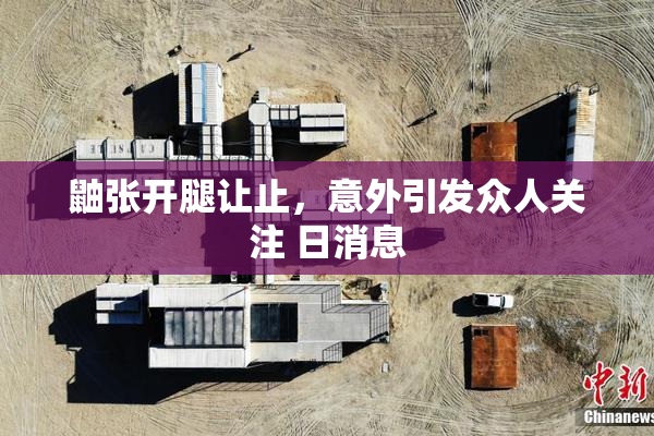 鼬张开腿让止，意外引发众人关注 日消息