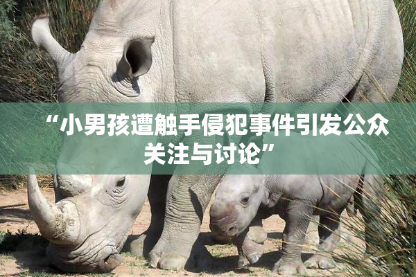 “小男孩遭触手侵犯事件引发公众关注与讨论”
