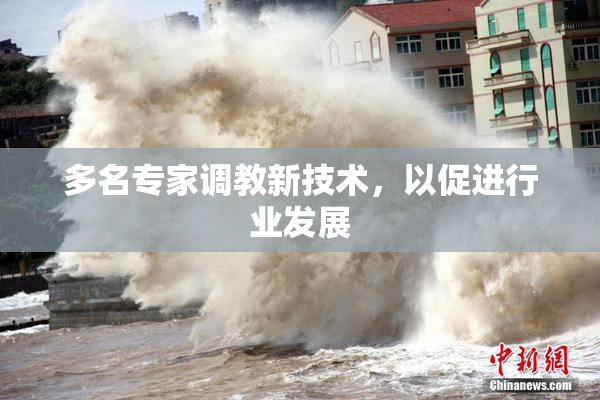 多名专家调教新技术，以促进行业发展