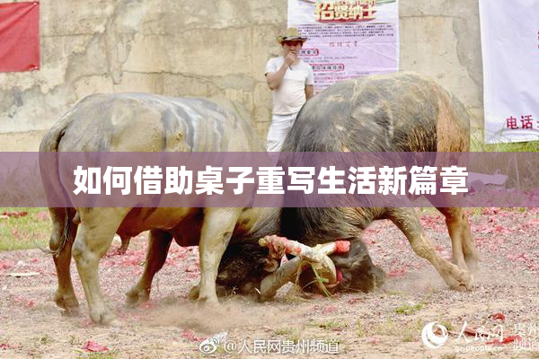 如何借助桌子重写生活新篇章