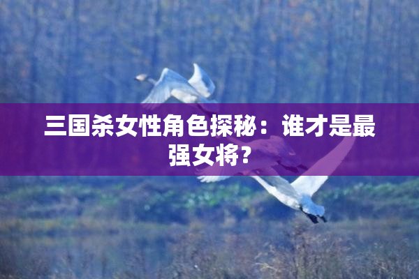 三国杀女性角色探秘：谁才是最强女将？