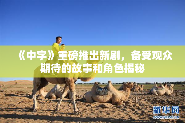 《中字》重磅推出新剧，备受观众期待的故事和角色揭秘