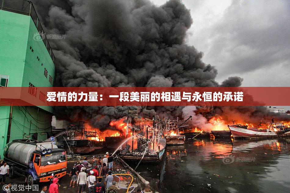 爱情的力量：一段美丽的相遇与永恒的承诺