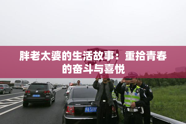 胖老太婆的生活故事：重拾青春的奋斗与喜悦