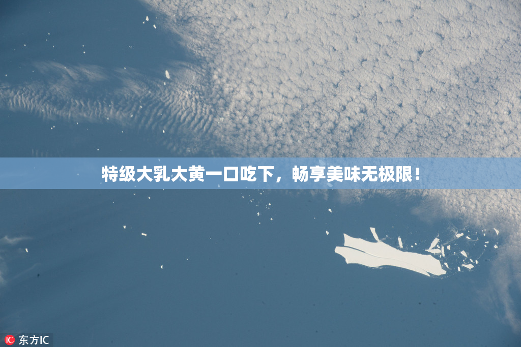 特级大乳大黄一口吃下，畅享美味无极限！