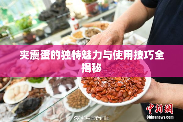 夹震蛋的独特魅力与使用技巧全揭秘