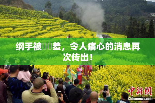 纲手被❌‌羞，令人痛心的消息再次传出！