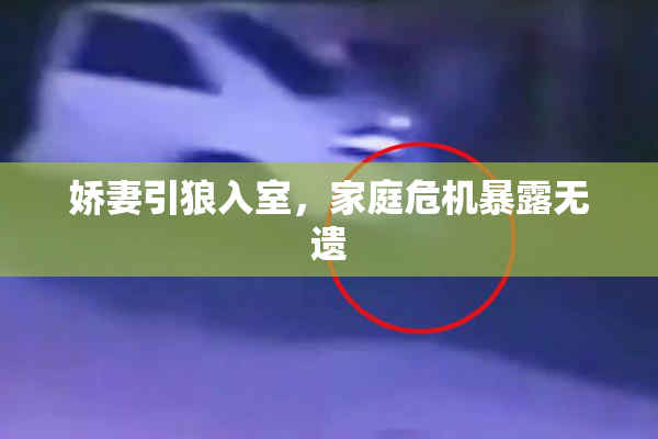 娇妻引狼入室，家庭危机暴露无遗
