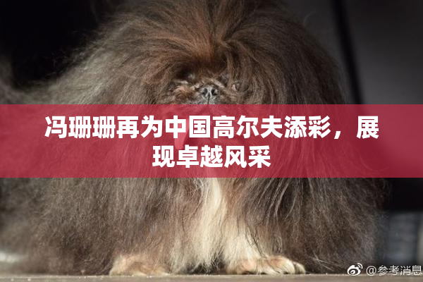 冯珊珊再为中国高尔夫添彩，展现卓越风采