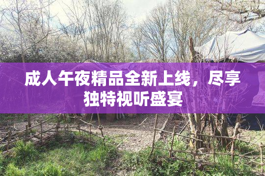 成人午夜精品全新上线，尽享独特视听盛宴