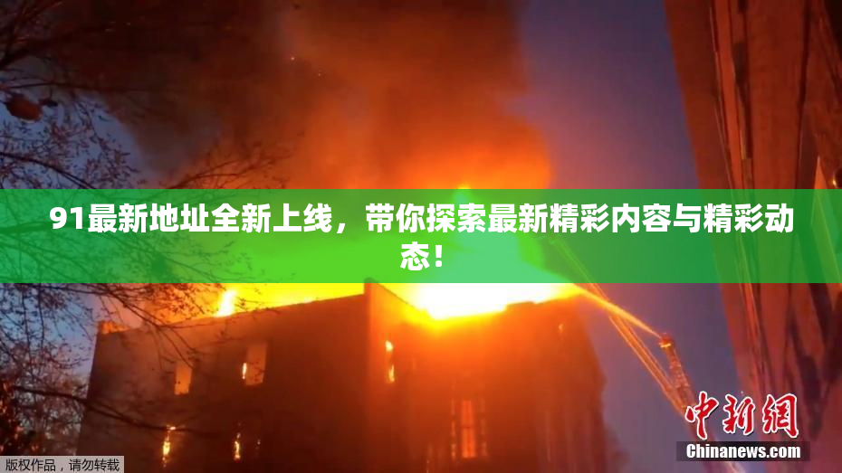 91最新地址全新上线，带你探索最新精彩内容与精彩动态！