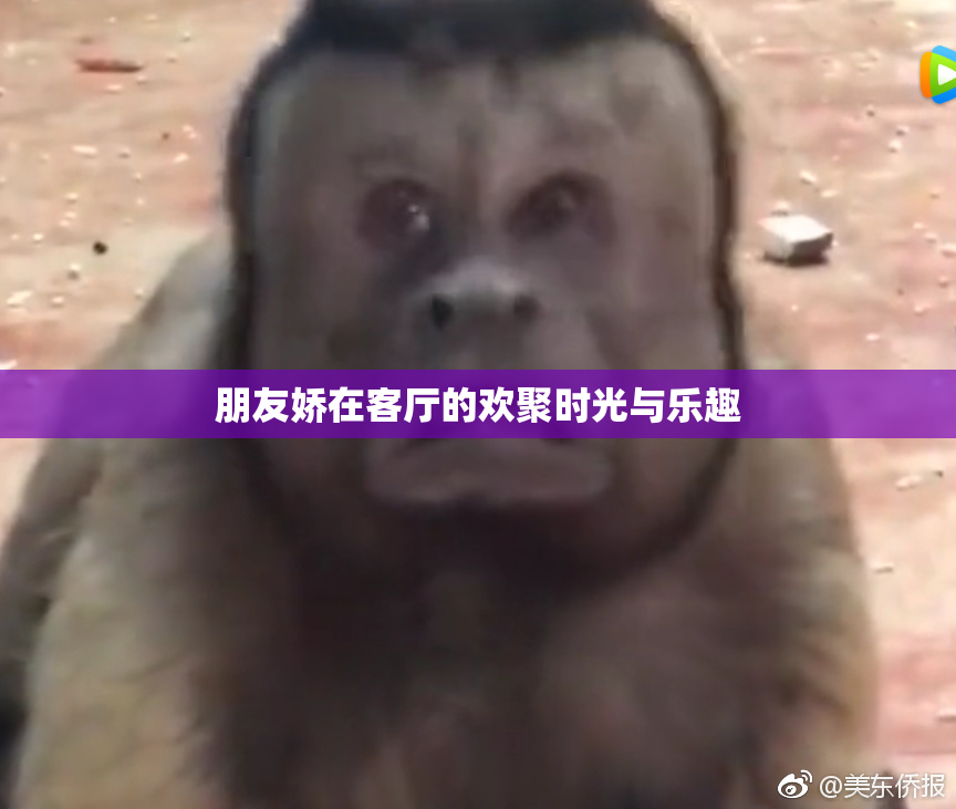 朋友娇在客厅的欢聚时光与乐趣