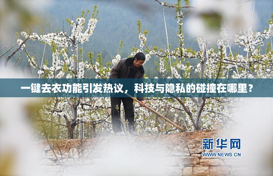 一键去衣功能引发热议，科技与隐私的碰撞在哪里？