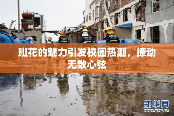 班花的魅力引发校园热潮，撩动无数心弦