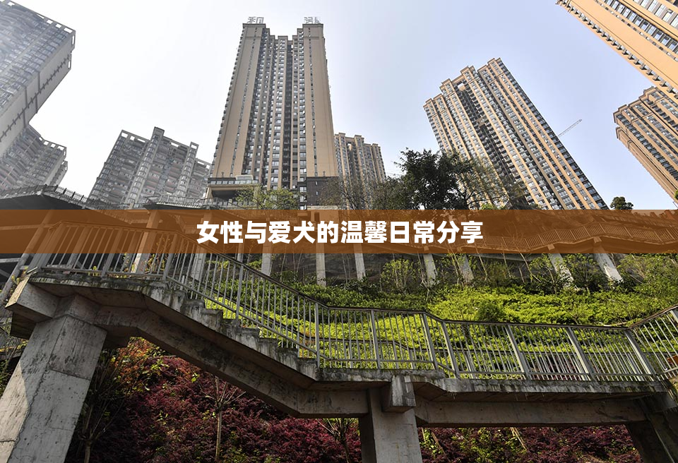 女性与爱犬的温馨日常分享