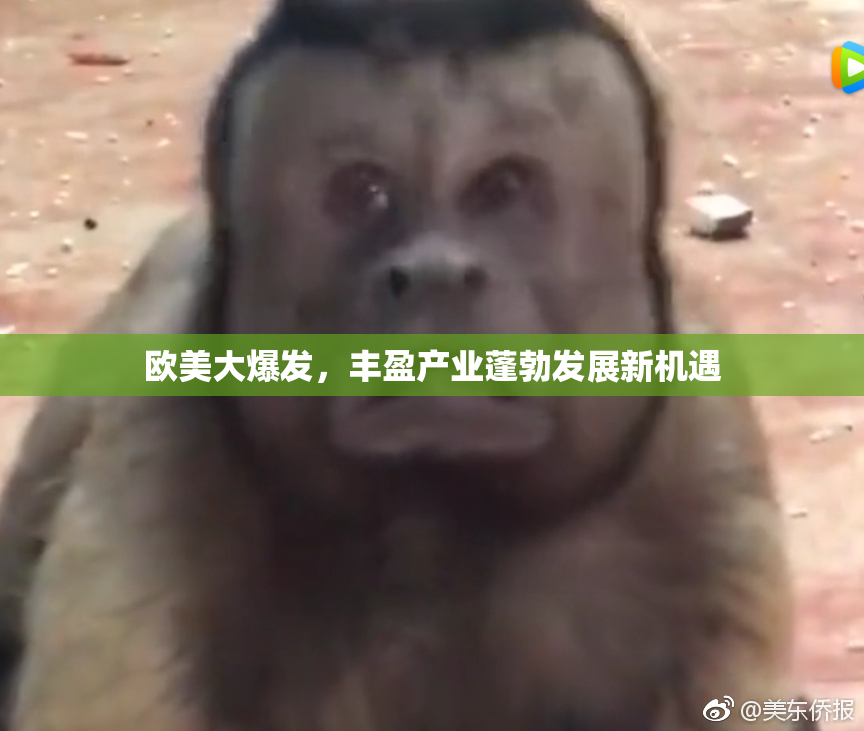 欧美大爆发，丰盈产业蓬勃发展新机遇