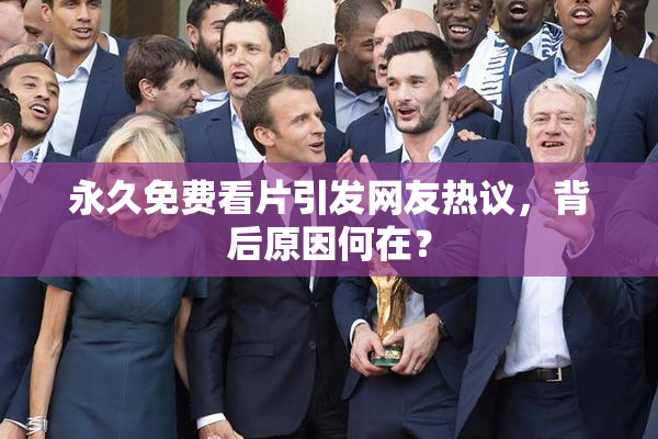 永久免费看片引发网友热议，背后原因何在？