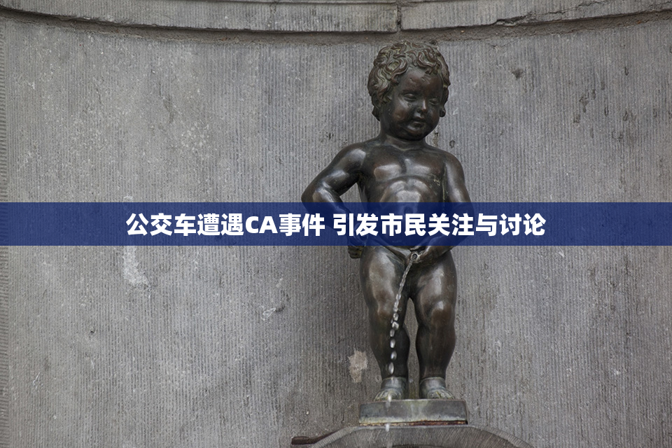 公交车遭遇CA事件 引发市民关注与讨论