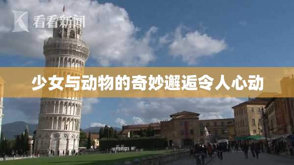 少女与动物的奇妙邂逅令人心动