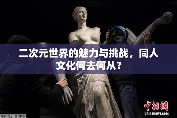 二次元世界的魅力与挑战，同人文化何去何从？