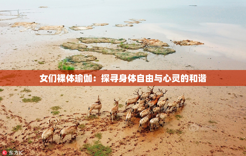 女们裸体瑜伽：探寻身体自由与心灵的和谐