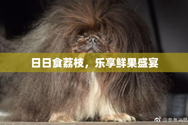 日日食荔枝，乐享鲜果盛宴