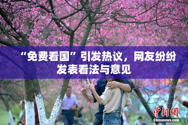 “免费看国”引发热议，网友纷纷发表看法与意见