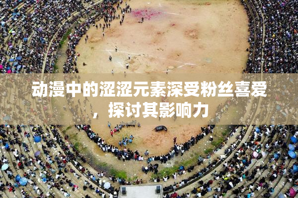 动漫中的涩涩元素深受粉丝喜爱，探讨其影响力
